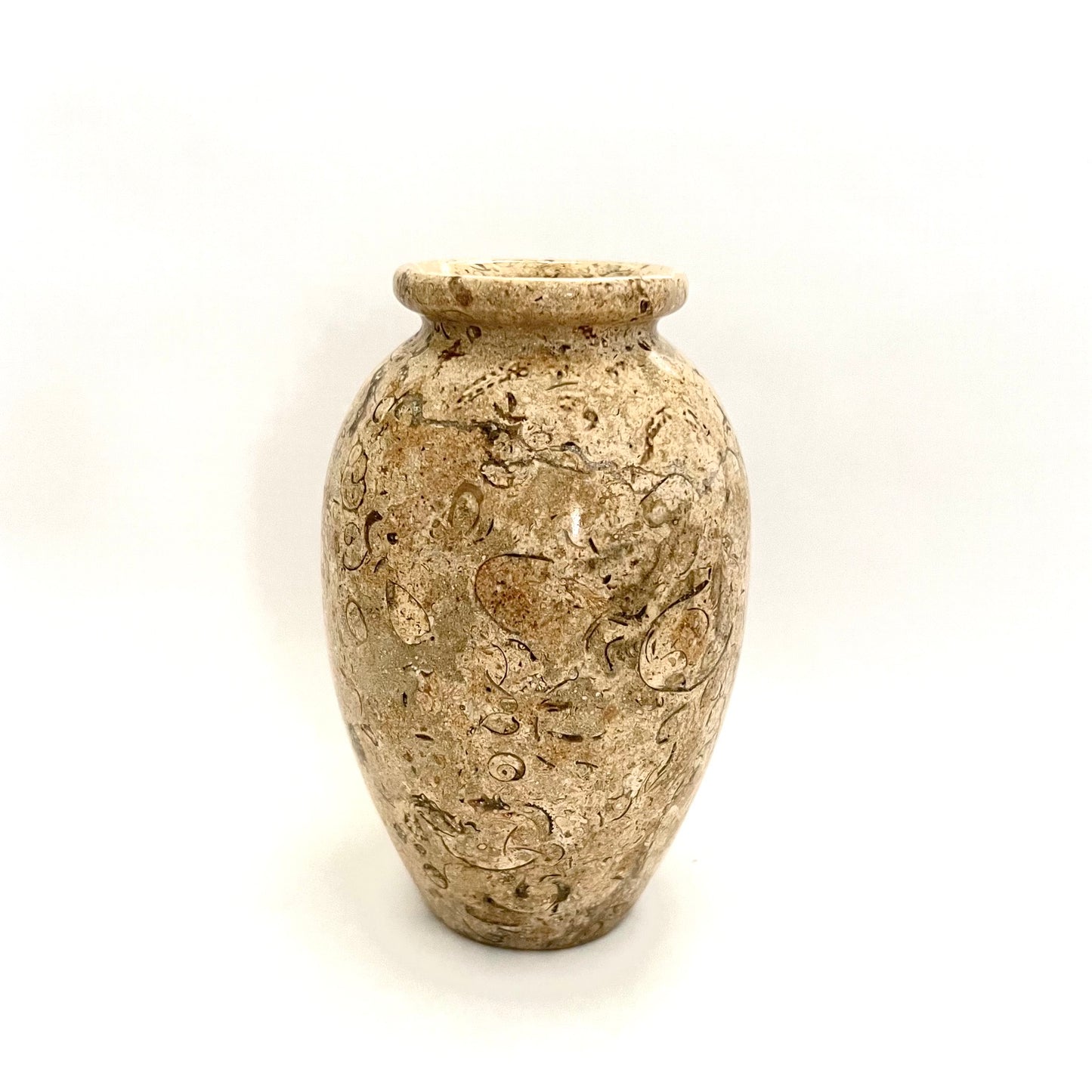 Vintage Seashell Fossil Stone Bud Vase