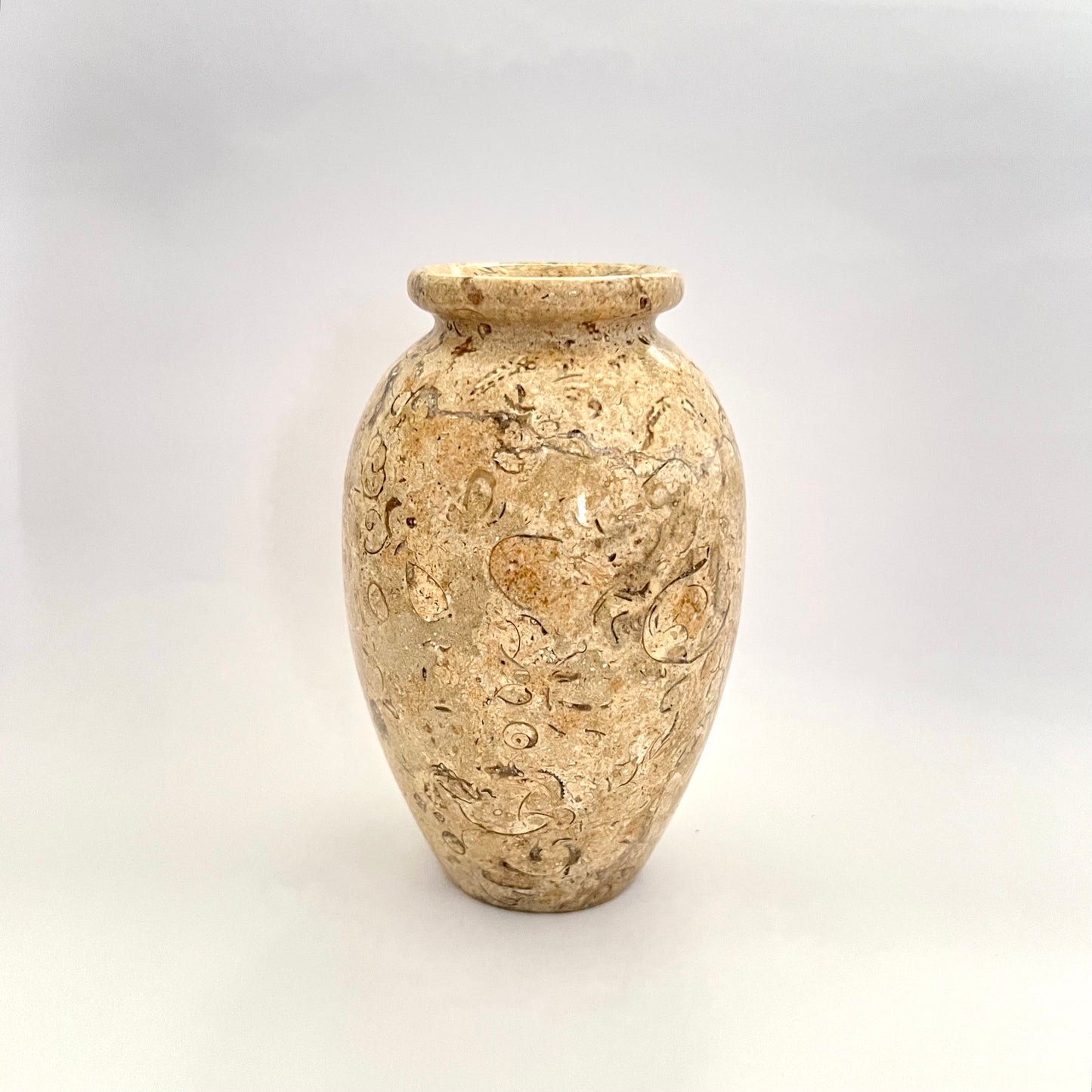 Vintage Seashell Fossil Stone Bud Vase