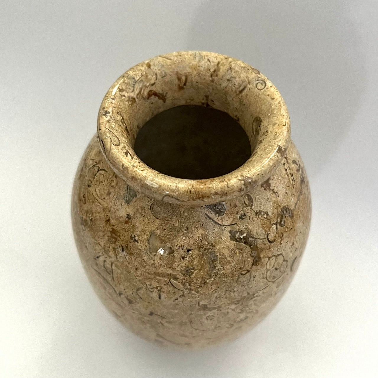 Vintage Seashell Fossil Stone Bud Vase