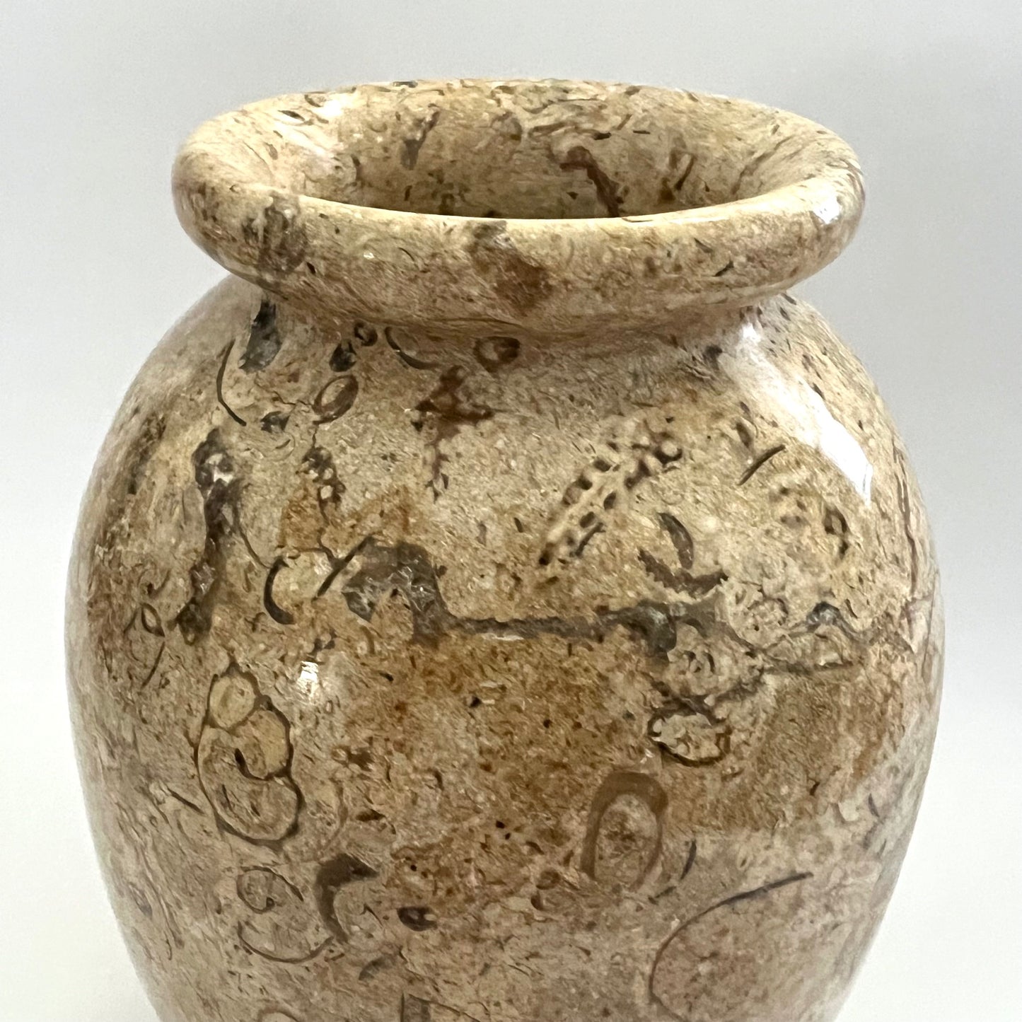 Vintage Seashell Fossil Stone Bud Vase