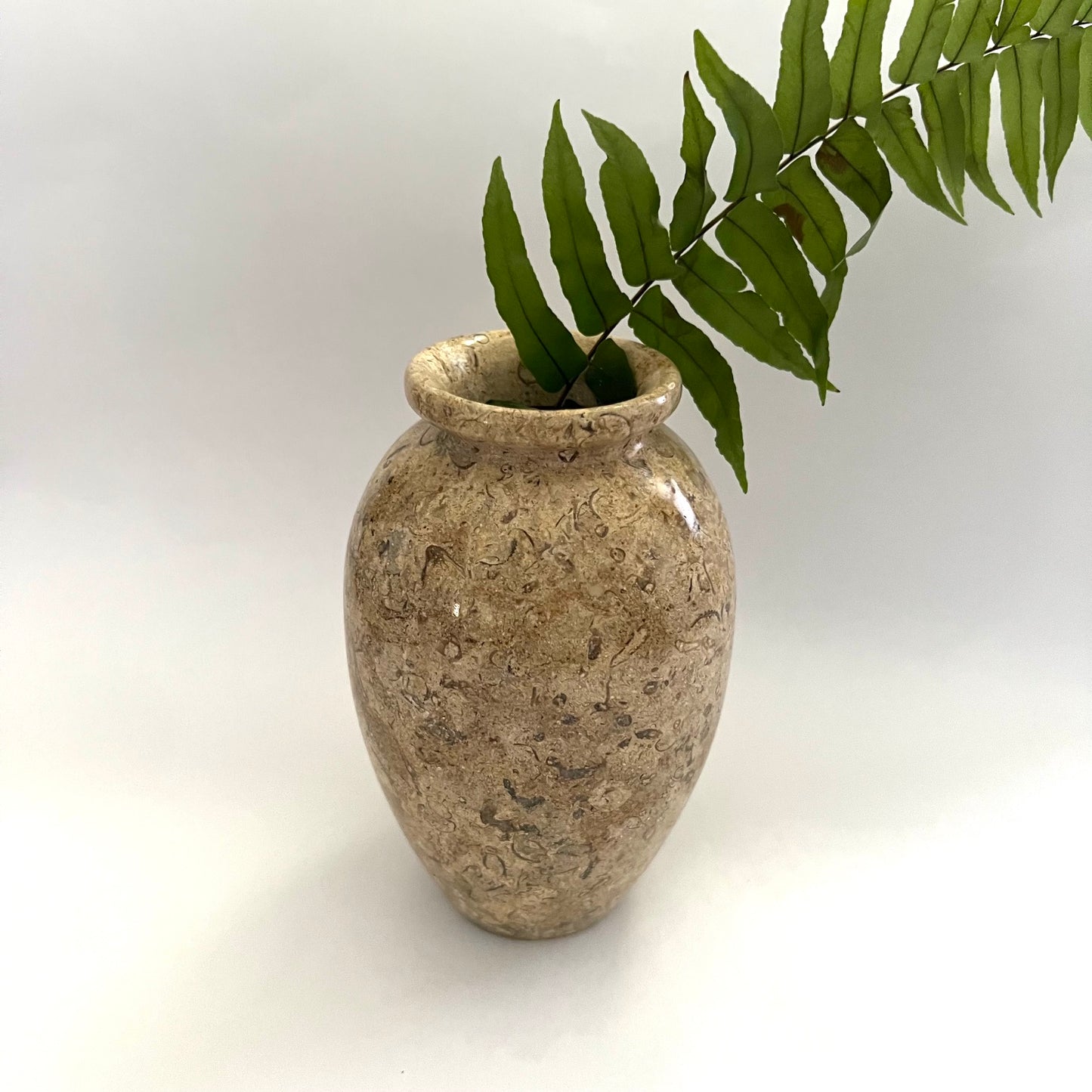 Vintage Seashell Fossil Stone Bud Vase