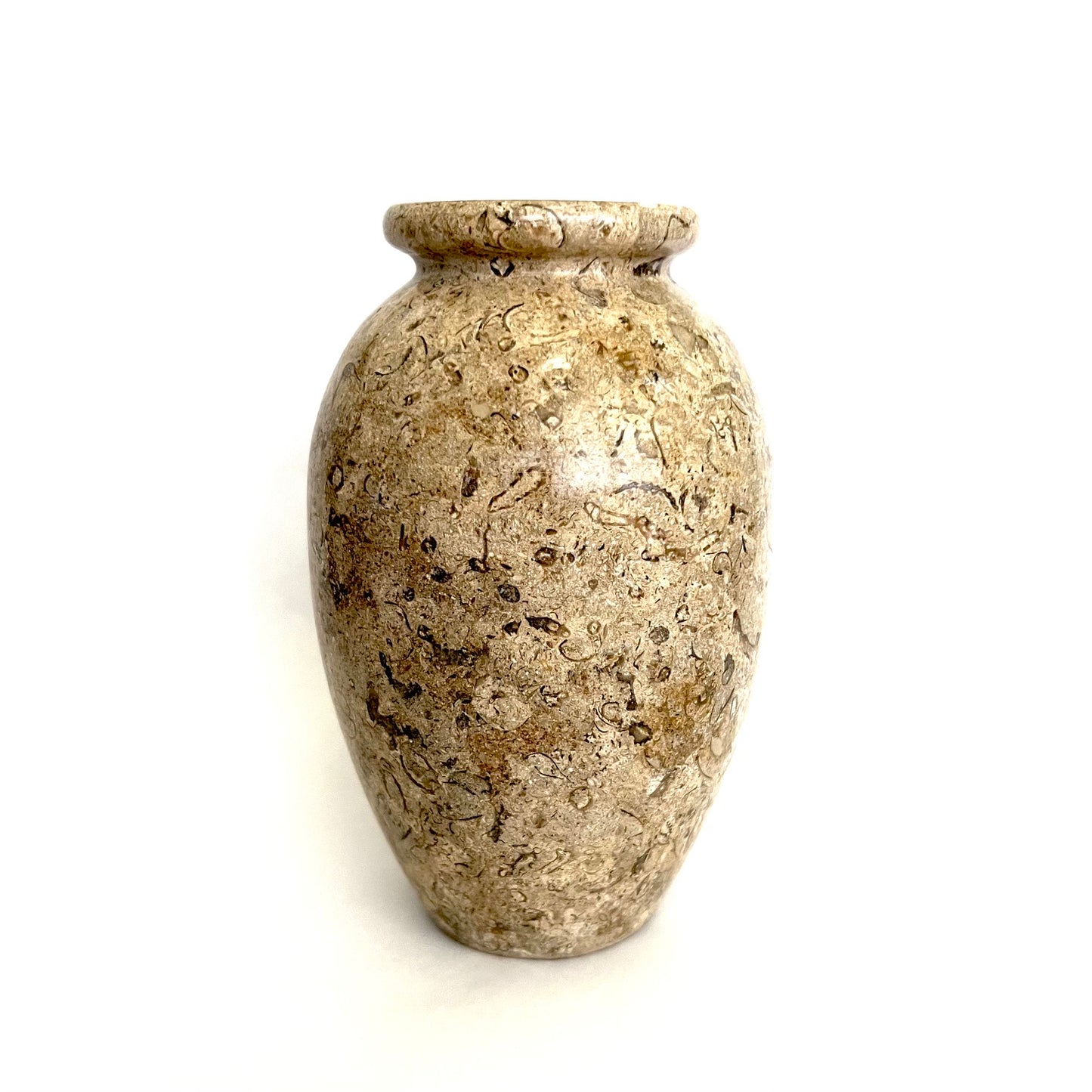 Vintage Seashell Fossil Stone Bud Vase